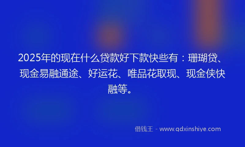 2025年的现在什么贷款好下款快些有：珊瑚贷、现金易融通途、好运花、唯品花取现、现金侠快融等。
