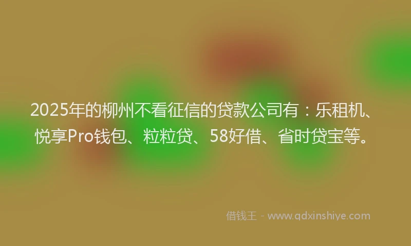 2025年的柳州不看征信的贷款公司有：乐租机、悦享Pro钱包、粒粒贷、58好借、省时贷宝等。
