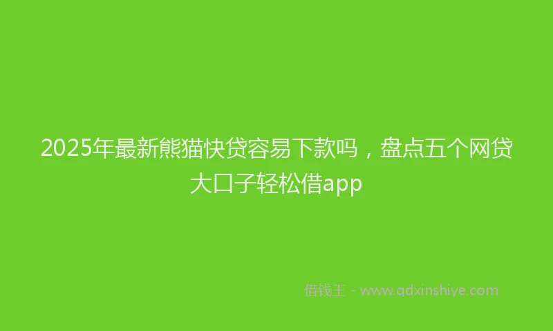 2025年最新熊猫快贷容易下款吗，盘点五个网贷大口子轻松借app