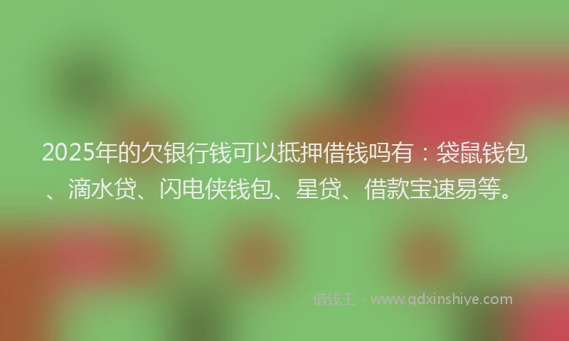 2025年的欠银行钱可以抵押借钱吗有：袋鼠钱包、滴水贷、闪电侠钱包、星贷、借款宝速易等。