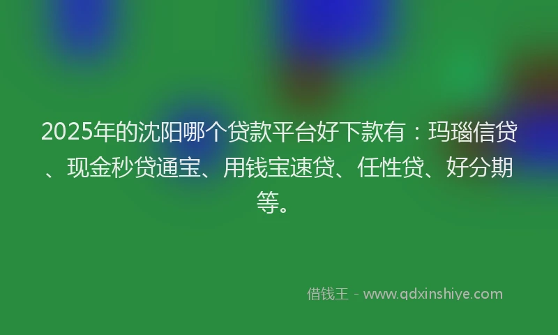 2025年的沈阳哪个贷款平台好下款有：玛瑙信贷、现金秒贷通宝、用钱宝速贷、任性贷、好分期等。