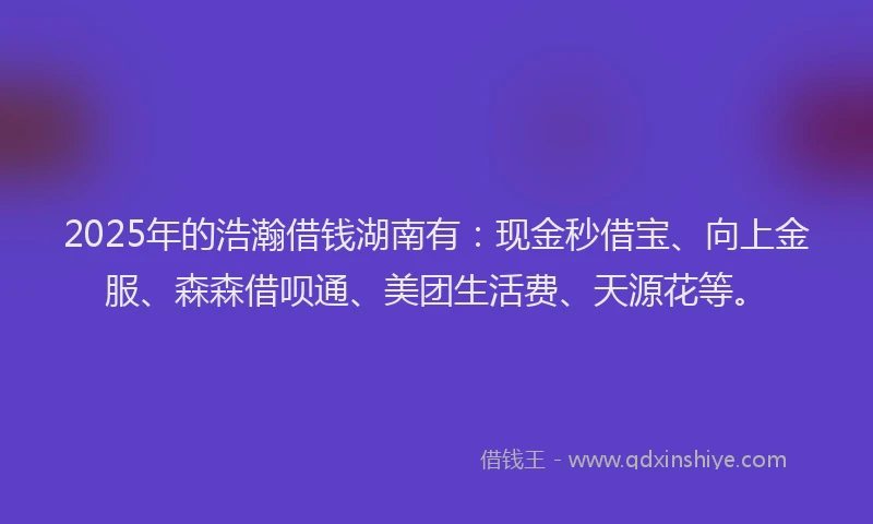 2025年的浩瀚借钱湖南有：现金秒借宝、向上金服、森森借呗通、美团生活费、天源花等。