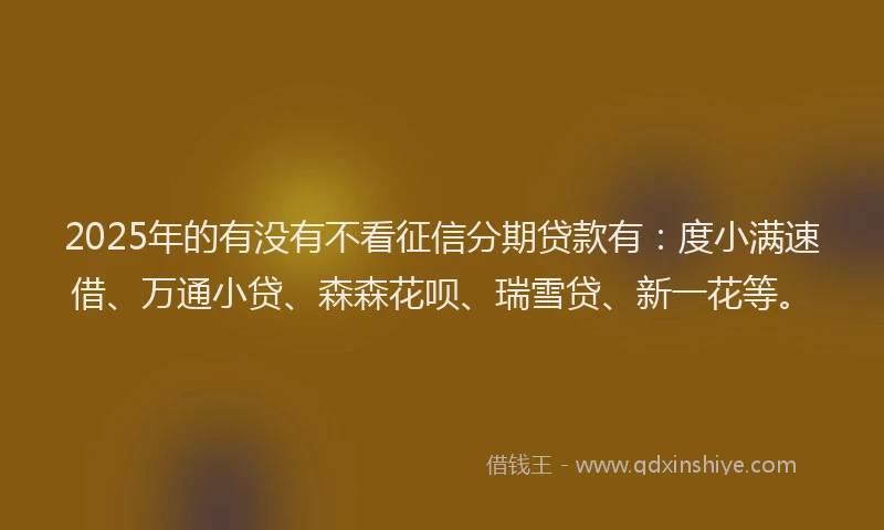 2025年的有没有不看征信分期贷款有：度小满速借、万通小贷、森森花呗、瑞雪贷、新一花等。