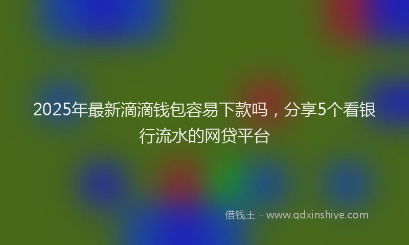 2025年最新滴滴钱包容易下款吗，分享5个看银行流水的网贷平台