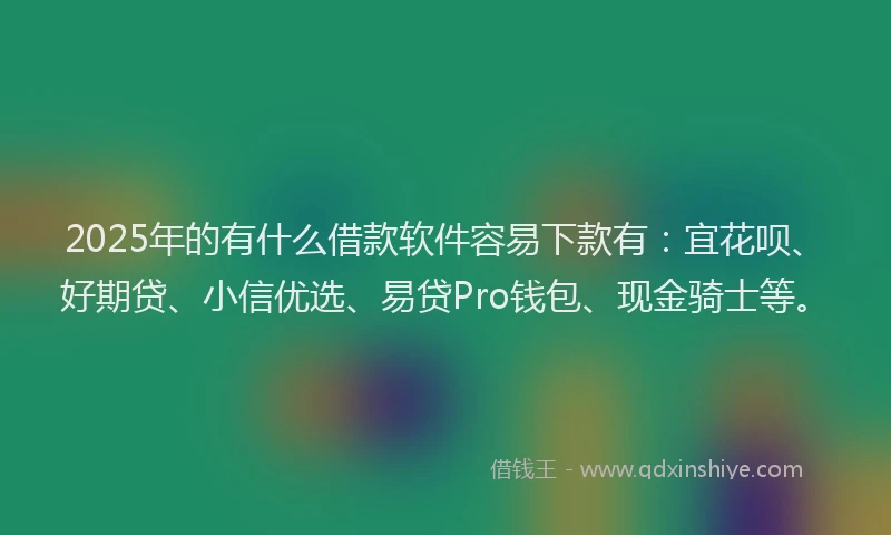 2025年的有什么借款软件容易下款有：宜花呗、好期贷、小信优选、易贷Pro钱包、现金骑士等。
