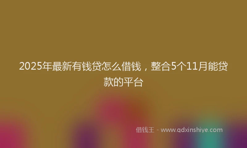 2025年最新有钱贷怎么借钱，整合5个11月能贷款的平台