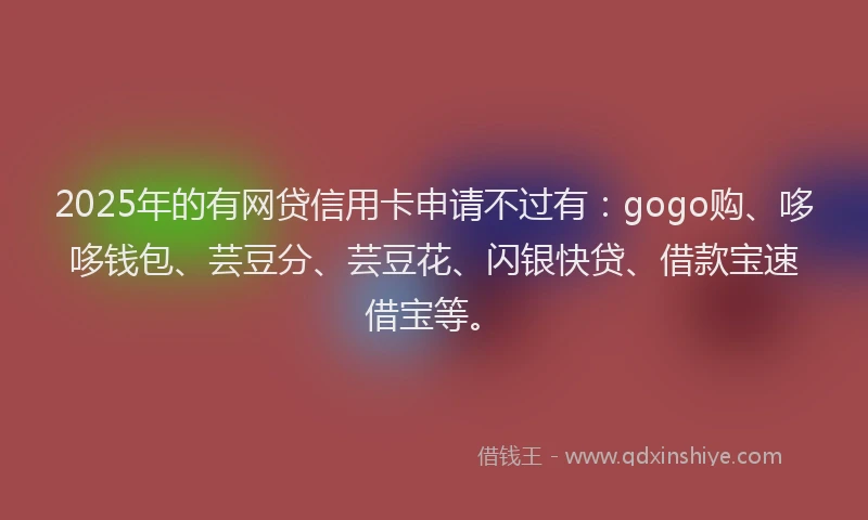 2025年的有网贷信用卡申请不过有：gogo购、哆哆钱包、芸豆分、芸豆花、闪银快贷、借款宝速借宝等。