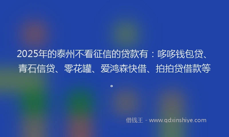 2025年的泰州不看征信的贷款有：哆哆钱包贷、青石信贷、零花罐、爱鸿森快借、拍拍贷借款等。