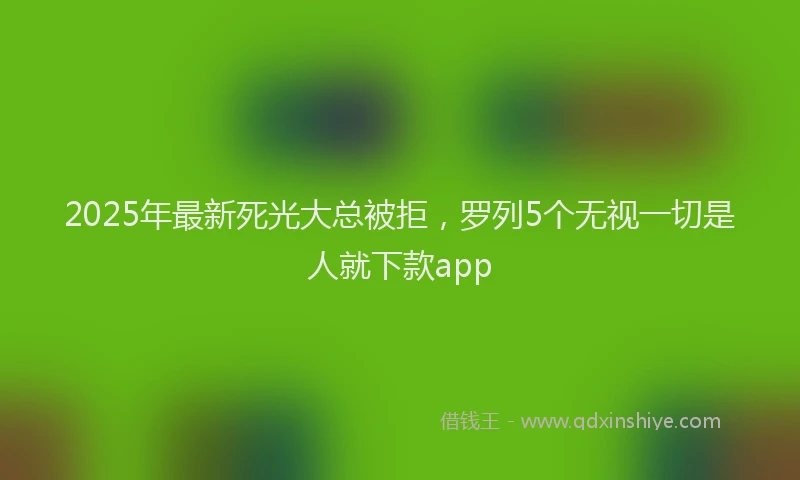 2025年最新死光大总被拒，罗列5个无视一切是人就下款app