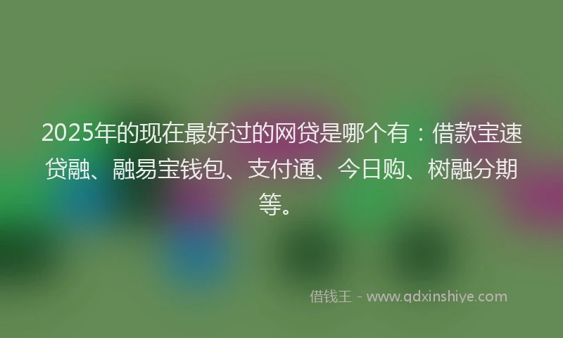 2025年的现在最好过的网贷是哪个有：借款宝速贷融、融易宝钱包、支付通、今日购、树融分期等。