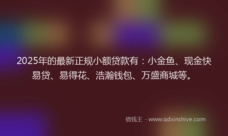 2025年的最新正规小额贷款有：小金鱼、现金快易贷、易得花、浩瀚钱包、万盛商城等。