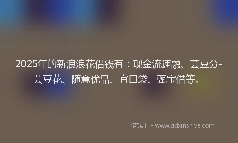 2025年的新浪浪花借钱有：现金流速融、芸豆分-芸豆花、随意优品、宜口袋、甄宝借等。