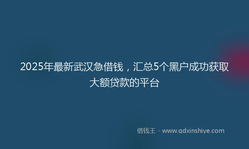 2025年最新武汉急借钱，汇总5个黑户成功获取大额贷款的平台