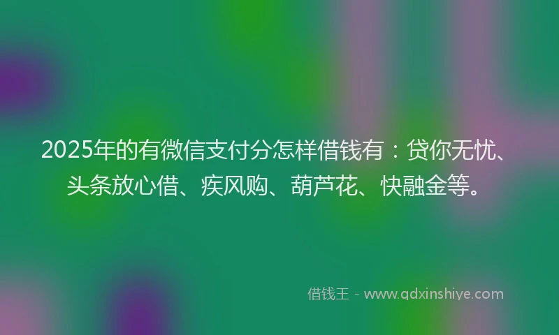 2025年的有微信支付分怎样借钱有：贷你无忧、头条放心借、疾风购、葫芦花、快融金等。