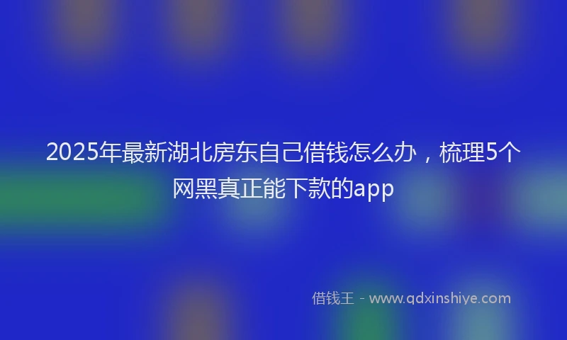 2025年最新湖北房东自己借钱怎么办，梳理5个网黑真正能下款的app