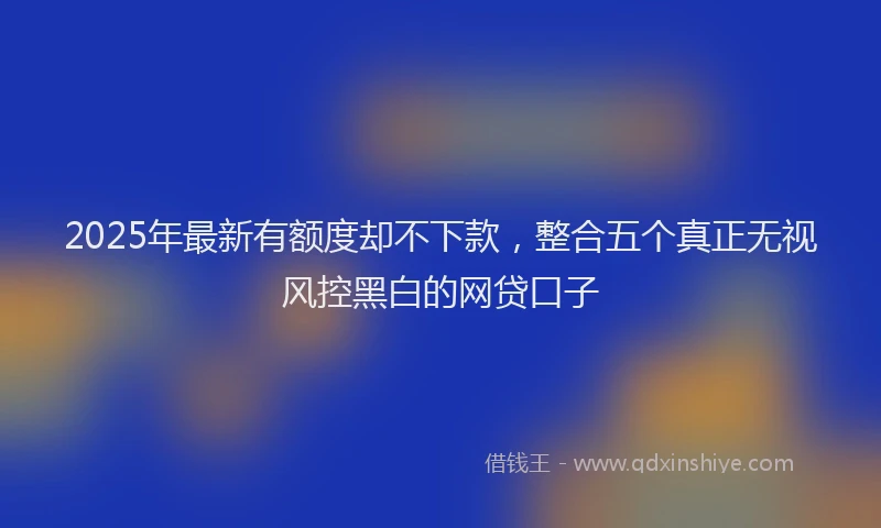 2025年最新有额度却不下款，整合五个真正无视风控黑白的网贷口子