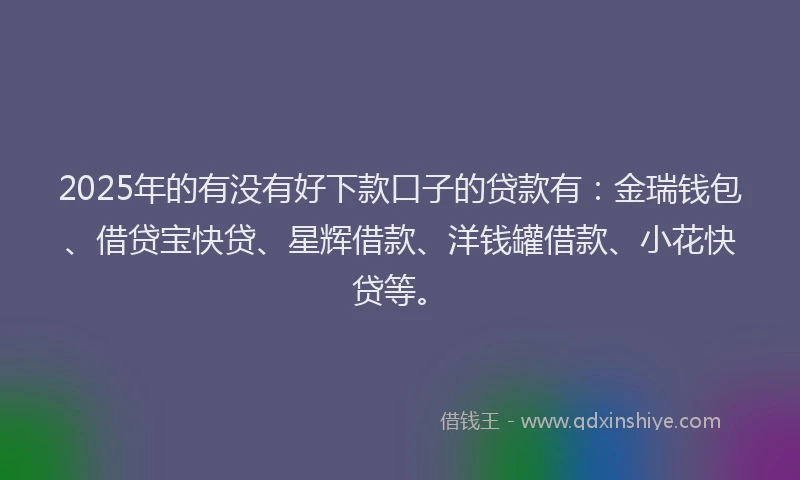 2025年的有没有好下款口子的贷款有：金瑞钱包、借贷宝快贷、星辉借款、洋钱罐借款、小花快贷等。