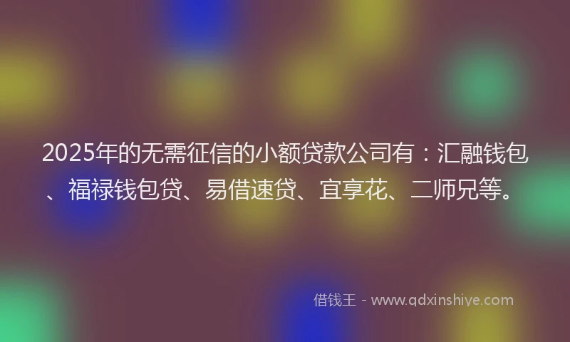 2025年的无需征信的小额贷款公司有：汇融钱包、福禄钱包贷、易借速贷、宜享花、二师兄等。