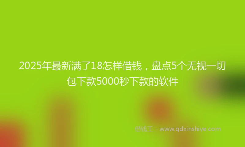 2025年最新满了18怎样借钱，盘点5个无视一切包下款5000秒下款的软件