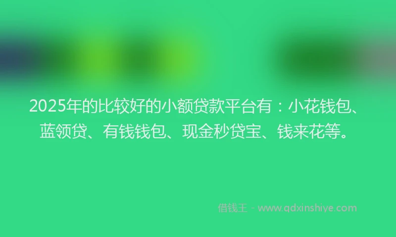 2025年的比较好的小额贷款平台有：小花钱包、蓝领贷、有钱钱包、现金秒贷宝、钱来花等。