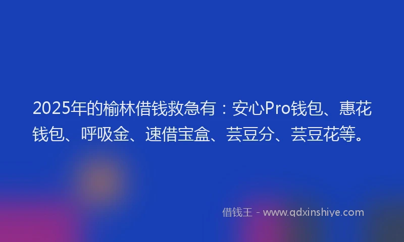 2025年的榆林借钱救急有：安心Pro钱包、惠花钱包、呼吸金、速借宝盒、芸豆分、芸豆花等。