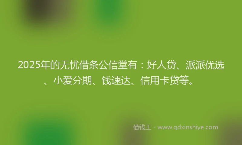 2025年的无忧借条公信堂有：好人贷、派派优选、小爱分期、钱速达、信用卡贷等。