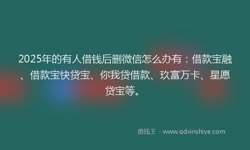 2025年的有人借钱后删微信怎么办有：借款宝融、借款宝快贷宝、你我贷借款、玖富万卡、星愿贷宝等。