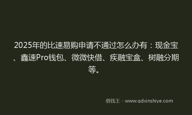 2025年的比速易购申请不通过怎么办有：现金宝、鑫速Pro钱包、微微快借、疾融宝盒、树融分期等。