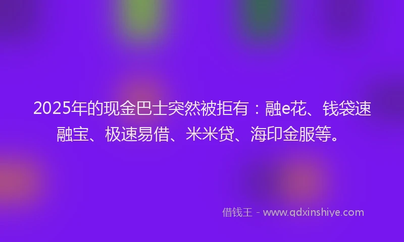 2025年的现金巴士突然被拒有：融e花、钱袋速融宝、极速易借、米米贷、海印金服等。