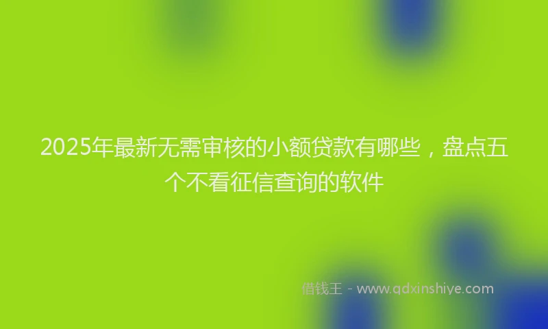 2025年最新无需审核的小额贷款有哪些，盘点五个不看征信查询的软件