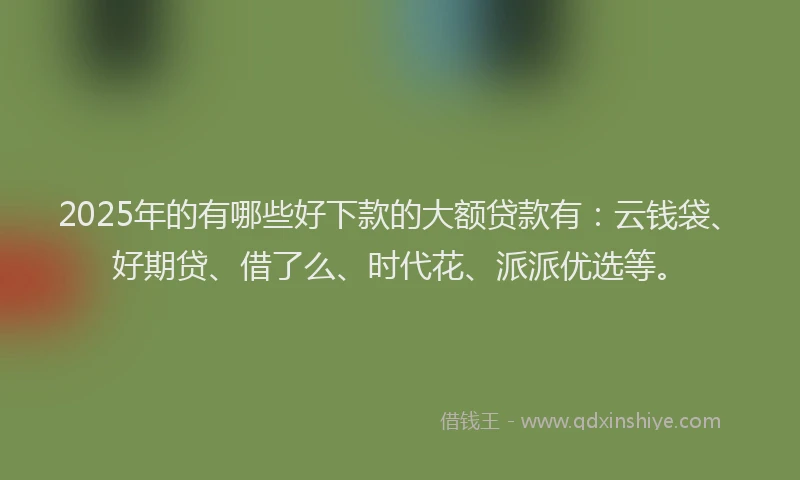 2025年的有哪些好下款的大额贷款有：云钱袋、好期贷、借了么、时代花、派派优选等。