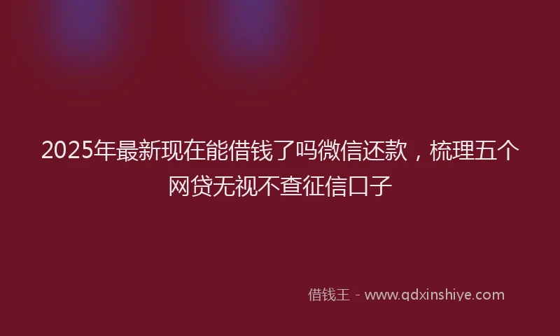 2025年最新现在能借钱了吗微信还款，梳理五个网贷无视不查征信口子