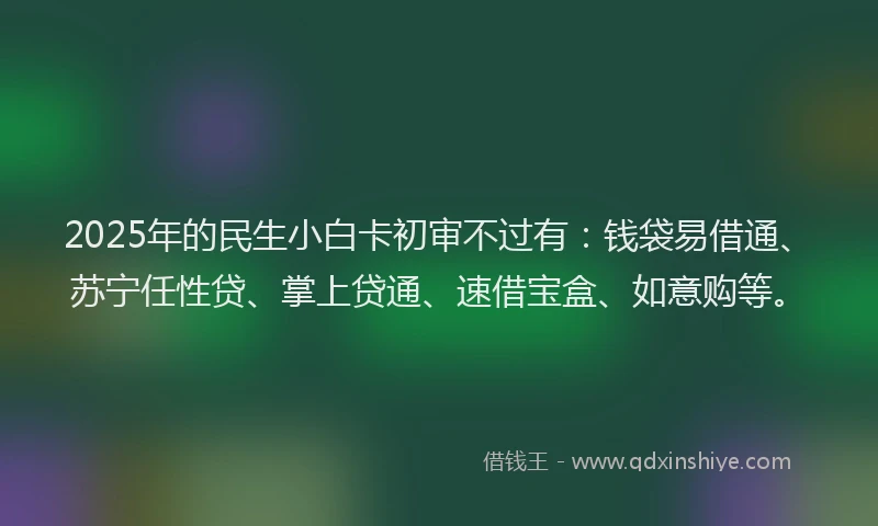 2025年的民生小白卡初审不过有：钱袋易借通、苏宁任性贷、掌上贷通、速借宝盒、如意购等。