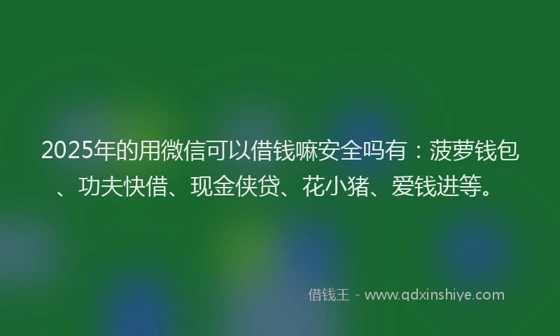 2025年的用微信可以借钱嘛安全吗有：菠萝钱包、功夫快借、现金侠贷、花小猪、爱钱进等。