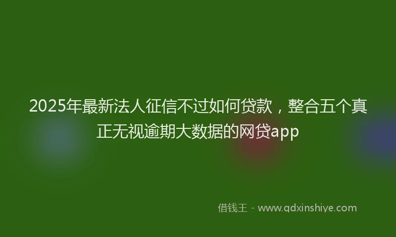 2025年最新法人征信不过如何贷款，整合五个真正无视逾期大数据的网贷app