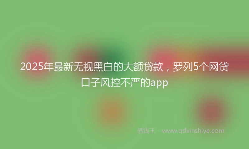 2025年最新无视黑白的大额贷款，罗列5个网贷口子风控不严的app