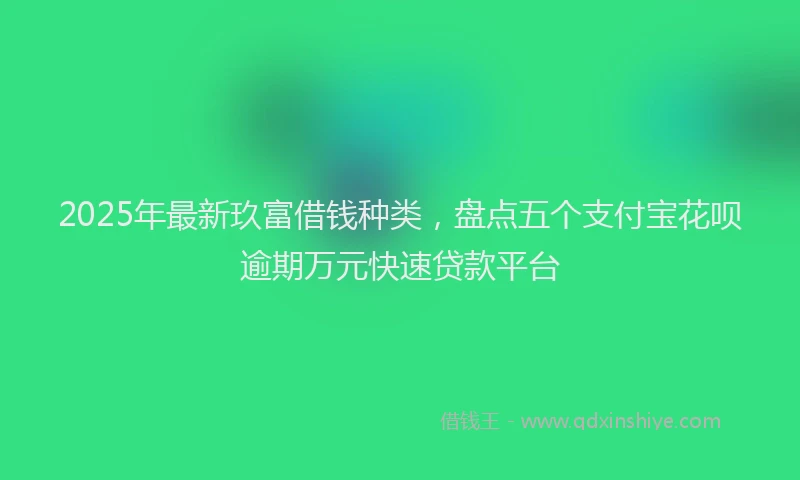 2025年最新玖富借钱种类，盘点五个支付宝花呗逾期万元快速贷款平台