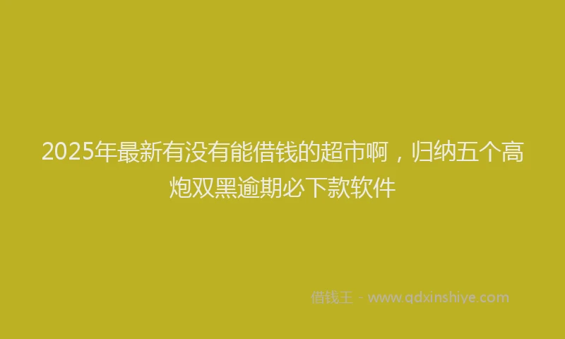 2025年最新有没有能借钱的超市啊，归纳五个高炮双黑逾期必下款软件