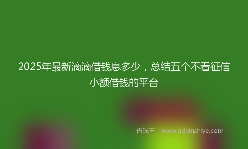 2025年最新滴滴借钱息多少，总结五个不看征信小额借钱的平台