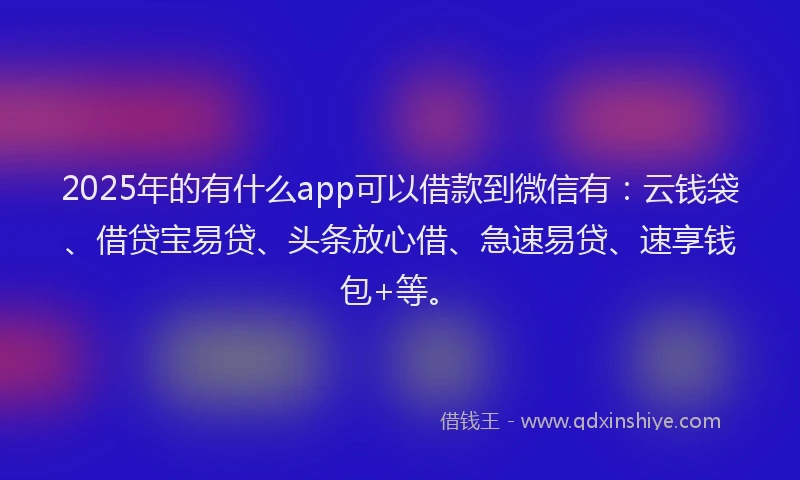 2025年的有什么app可以借款到微信有：云钱袋、借贷宝易贷、头条放心借、急速易贷、速享钱包+等。