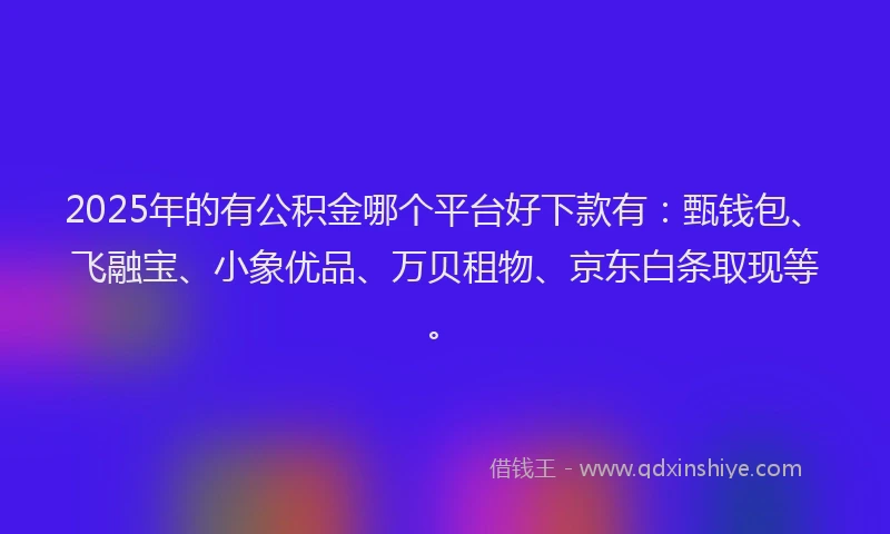 2025年的有公积金哪个平台好下款有：甄钱包、飞融宝、小象优品、万贝租物、京东白条取现等。