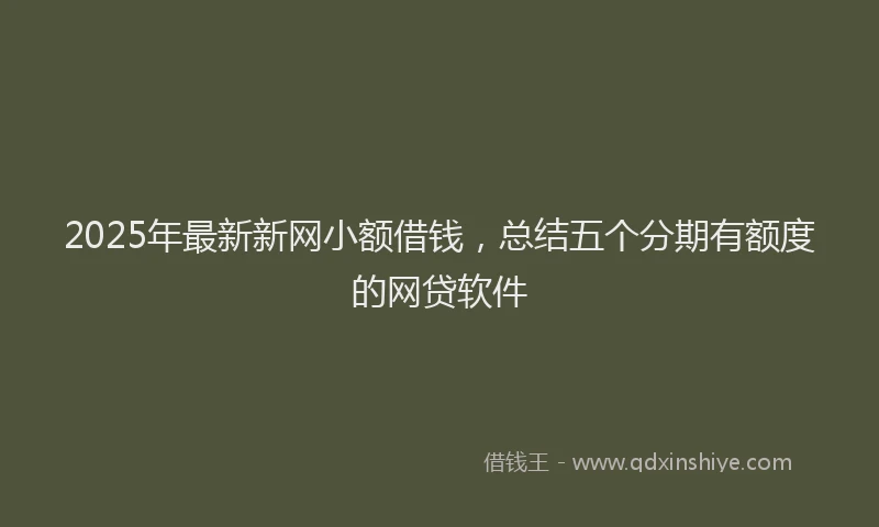 2025年最新新网小额借钱，总结五个分期有额度的网贷软件