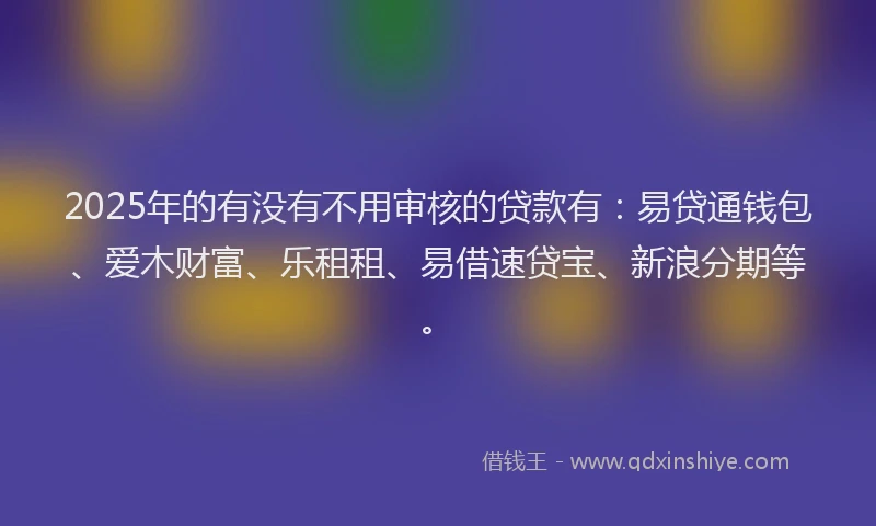 2025年的有没有不用审核的贷款有：易贷通钱包、爱木财富、乐租租、易借速贷宝、新浪分期等。