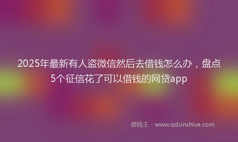 2025年最新有人盗微信然后去借钱怎么办，盘点5个征信花了可以借钱的网贷app