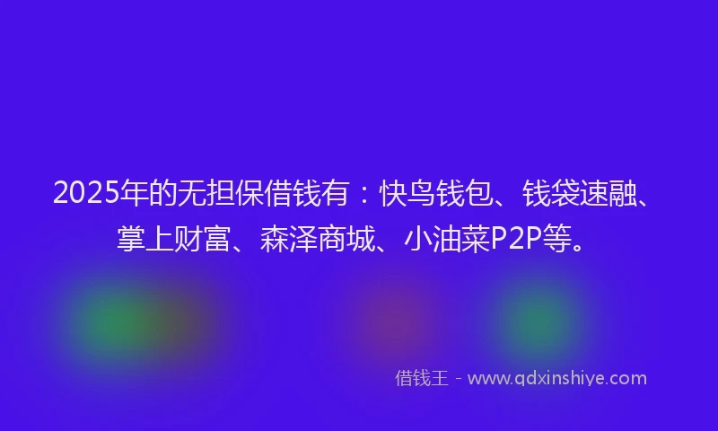 2025年的无担保借钱有：快鸟钱包、钱袋速融、掌上财富、森泽商城、小油菜P2P等。