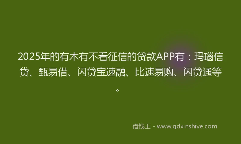 2025年的有木有不看征信的贷款APP有：玛瑙信贷、甄易借、闪贷宝速融、比速易购、闪贷通等。