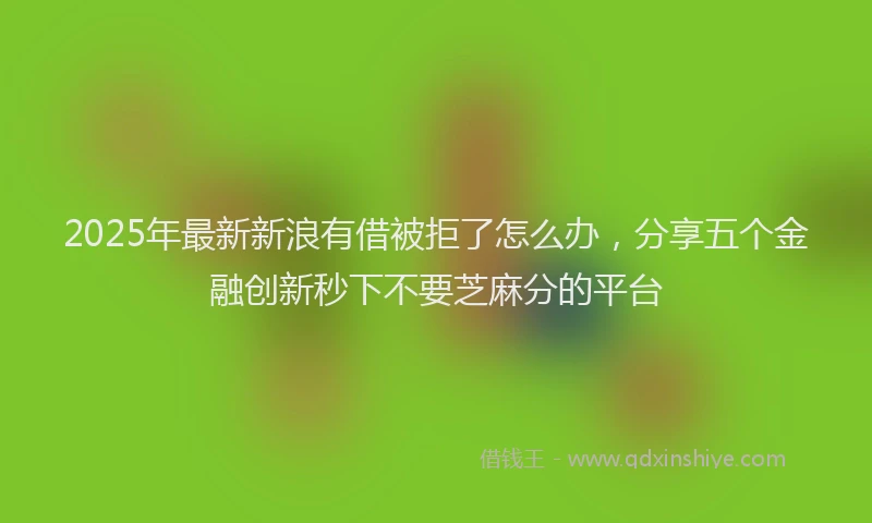 2025年最新新浪有借被拒了怎么办，分享五个金融创新秒下不要芝麻分的平台
