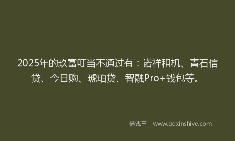 2025年的玖富叮当不通过有：诺祥租机、青石信贷、今日购、琥珀贷、智融Pro+钱包等。