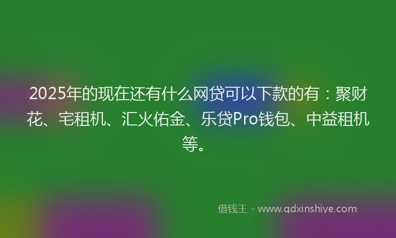 2025年的现在还有什么网贷可以下款的有：聚财花、宅租机、汇火佑金、乐贷Pro钱包、中益租机等。