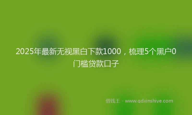 2025年最新无视黑白下款1000，梳理5个黑户0门槛贷款口子